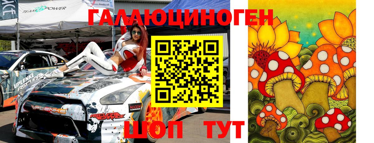Галлюциногенные грибы Psilocybe Липецк